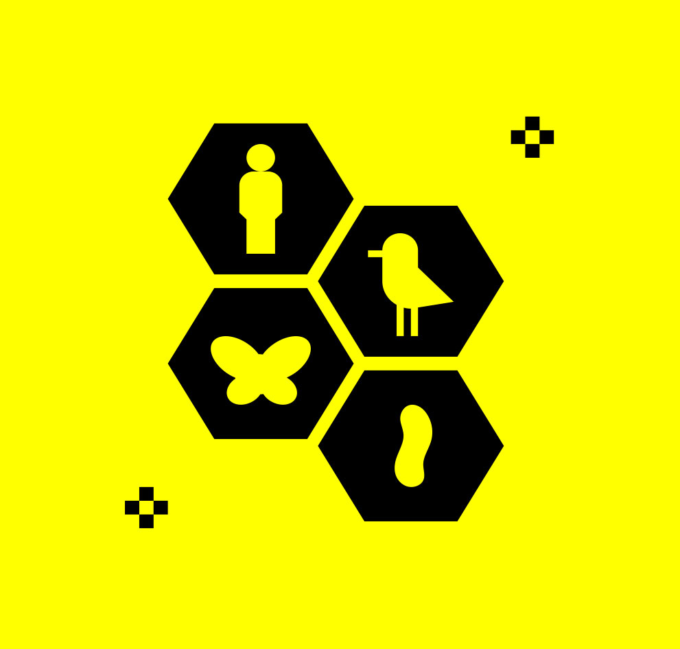 Biodiversity