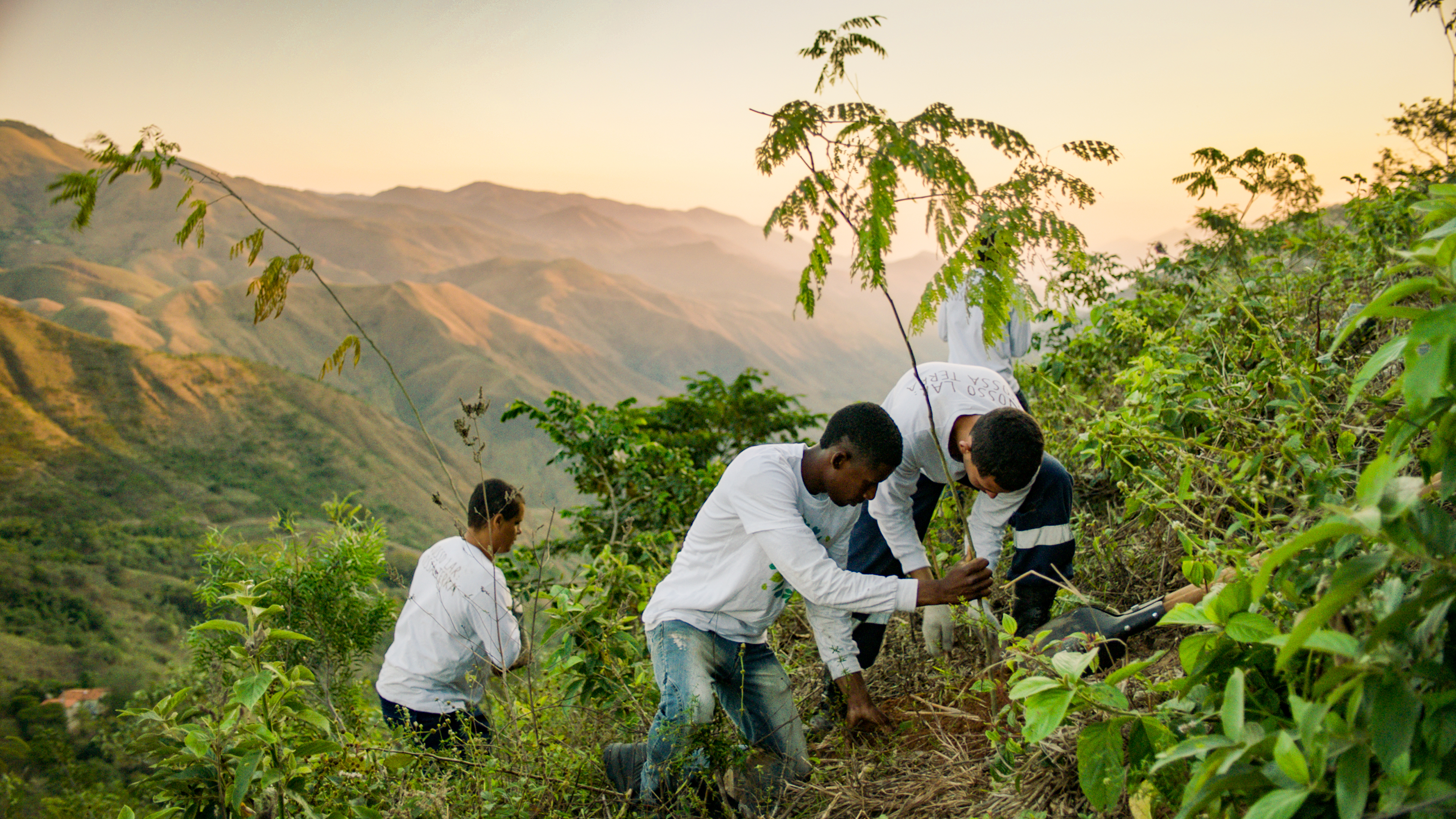 Planting Trees1