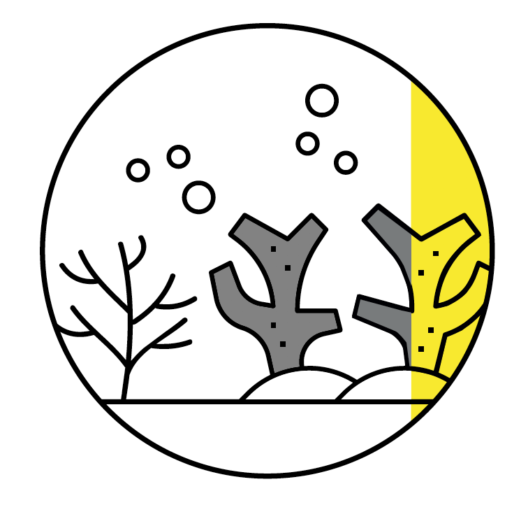 Screen Shot 2020 07 21 At 13.18.22