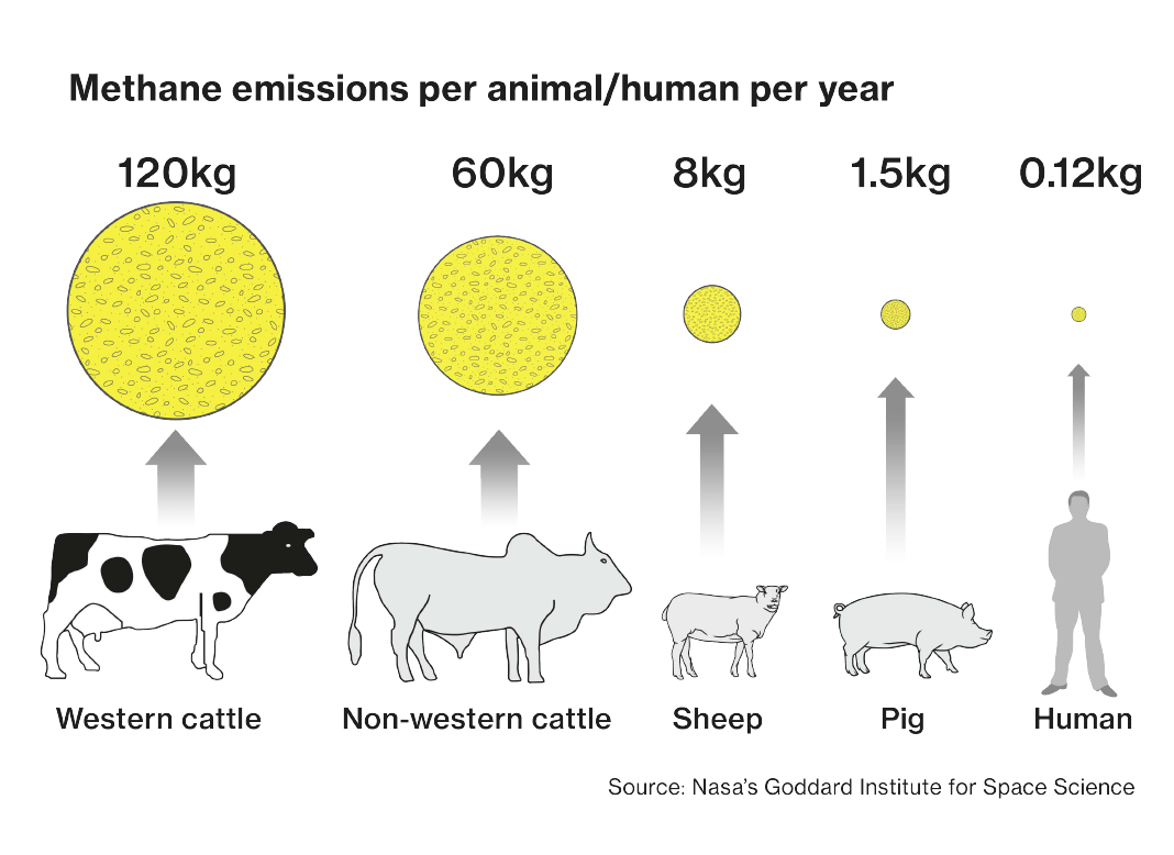 Screen Shot 2020 08 12 At 13.59.37