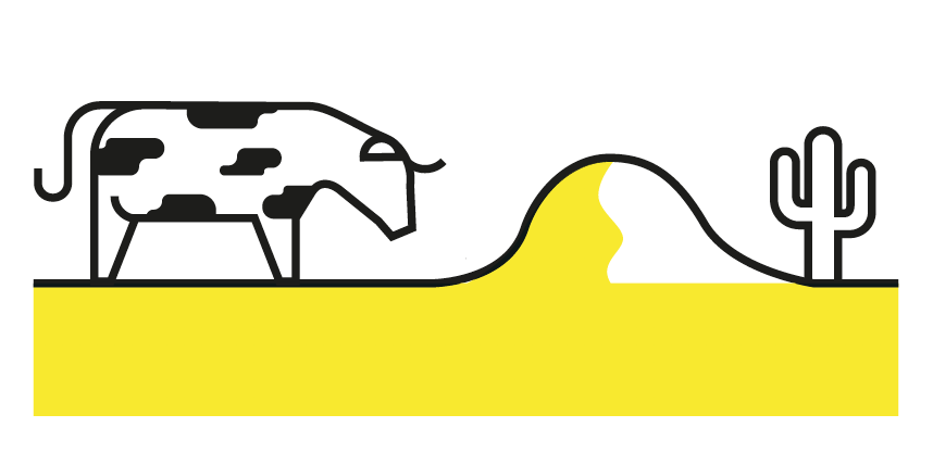 Screen Shot 2020 08 13 At 12.46.21