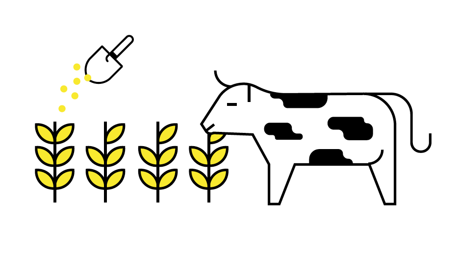 Screen Shot 2020 08 13 At 22.08.42