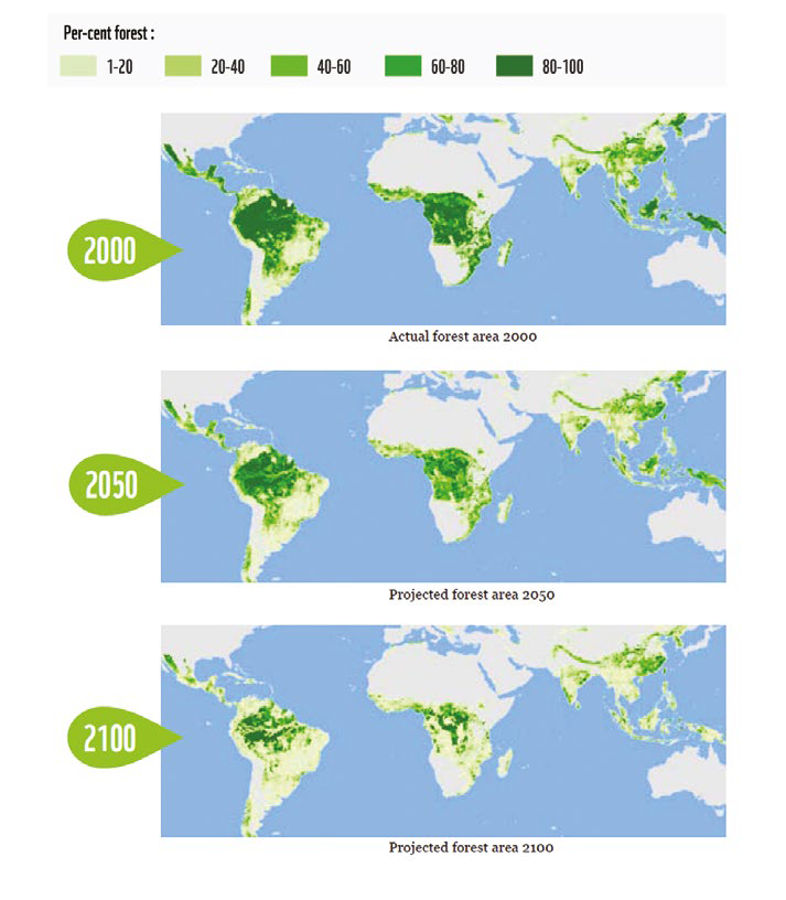 Forest Loss