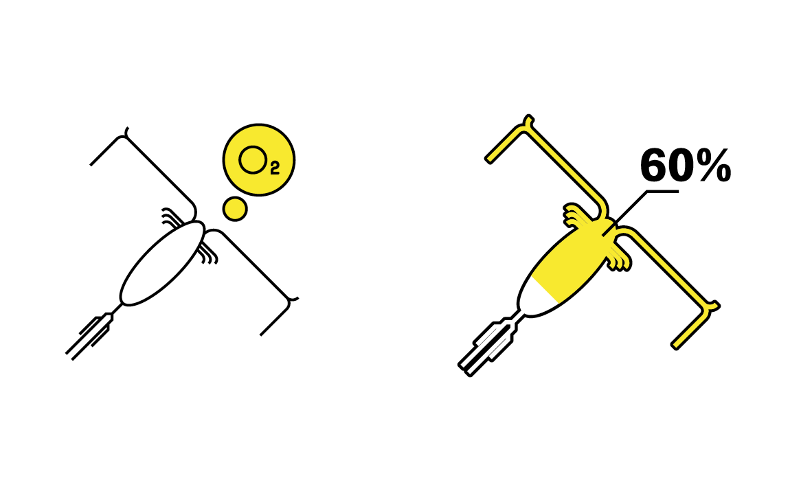 Screen Shot 2020 08 27 At 17.35.01