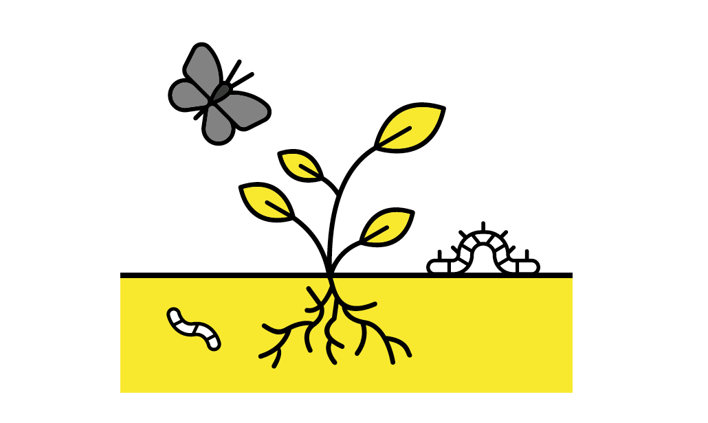 Screen Shot 2020 08 27 At 17.37.32